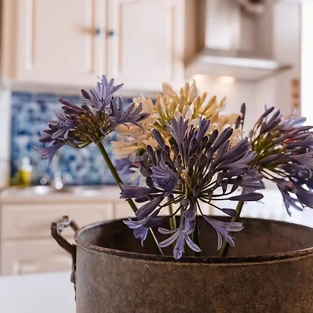 דירה Casa Amarela *