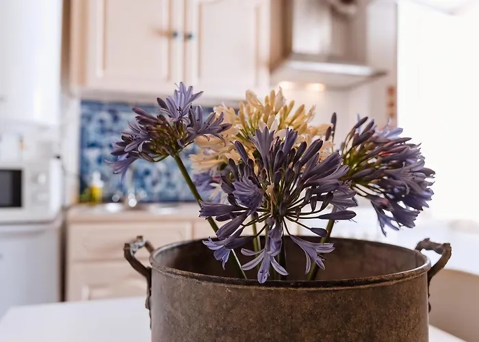 Apartamento Casa Amarela *